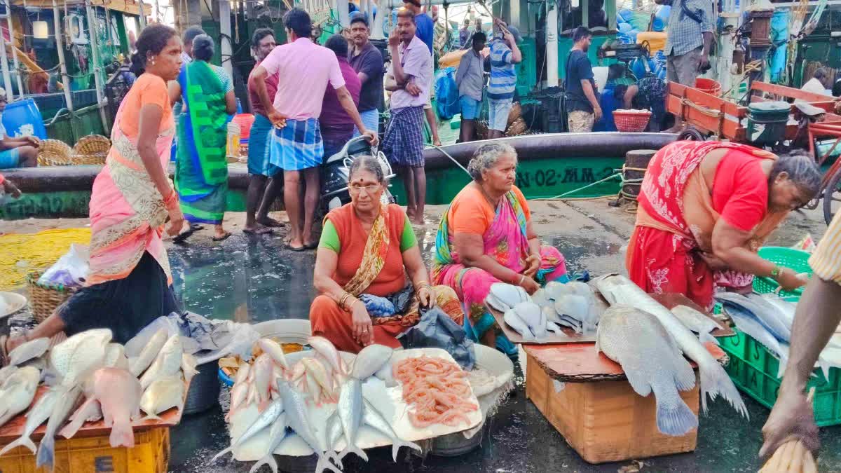 சண்டே அதுவுமா இப்படியா? களையிழந்த காசிமேடு மீன் மார்க்கெட்!