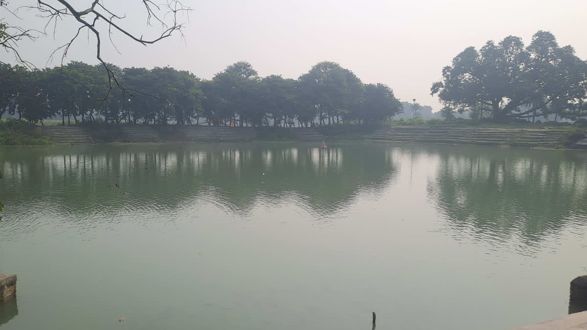 A Sacred Pond In Muzaffarnagar Where Fish Rule The Roost