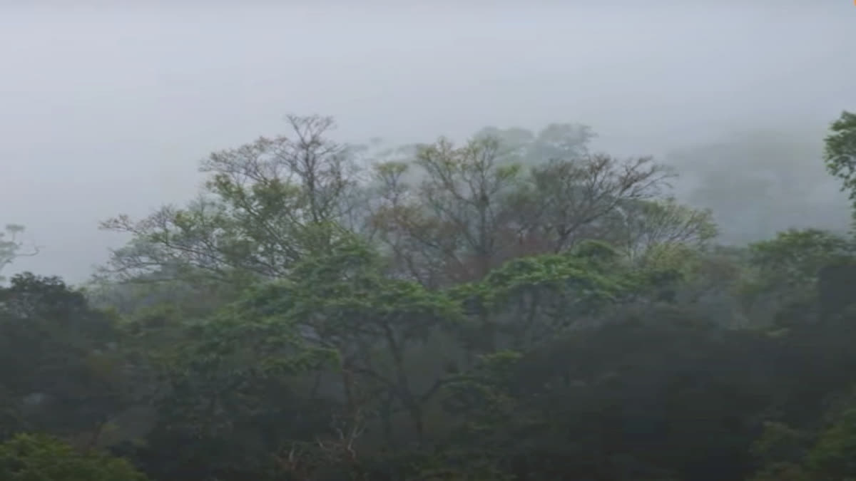 8 जिलों में येलो अलर्ट