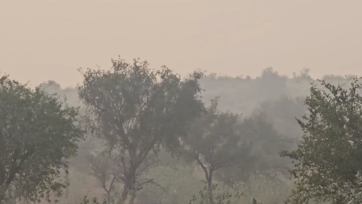 नागौर में सुबह 8 बजे के बाद भी कोहरा