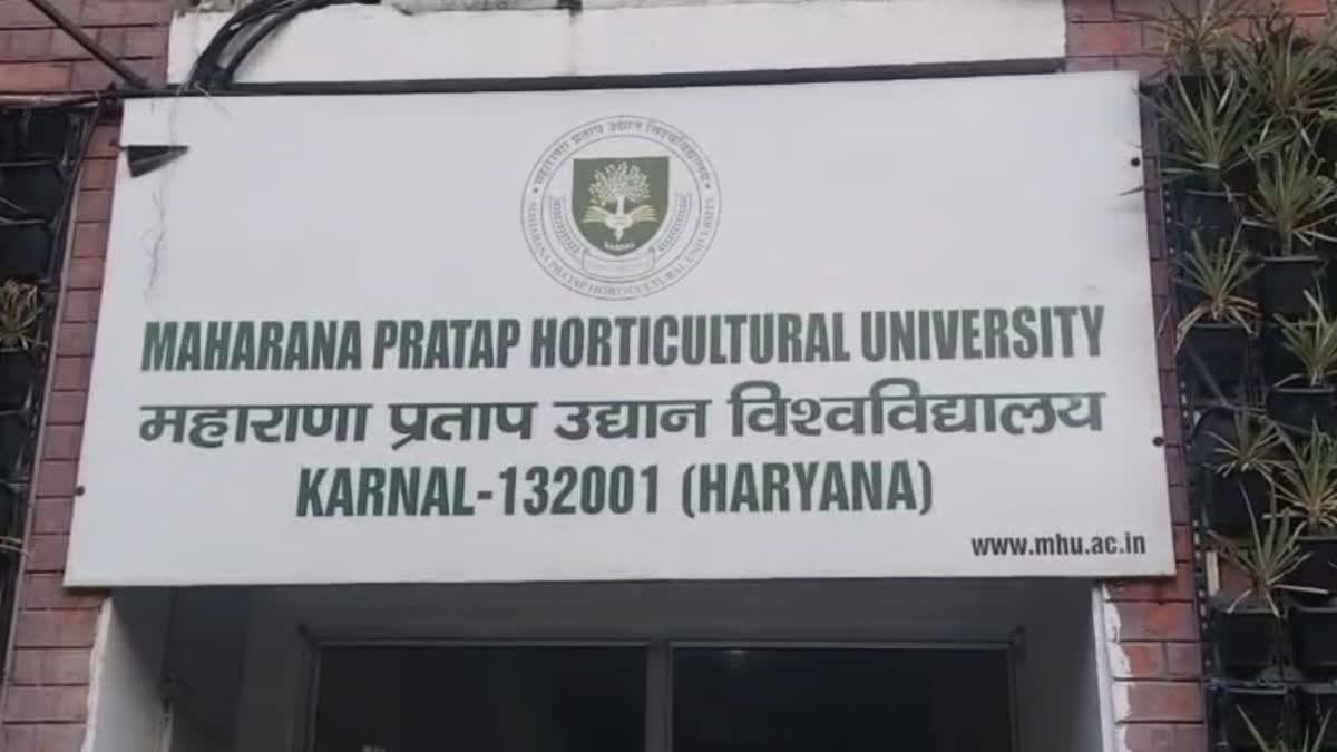 High tech farming in India