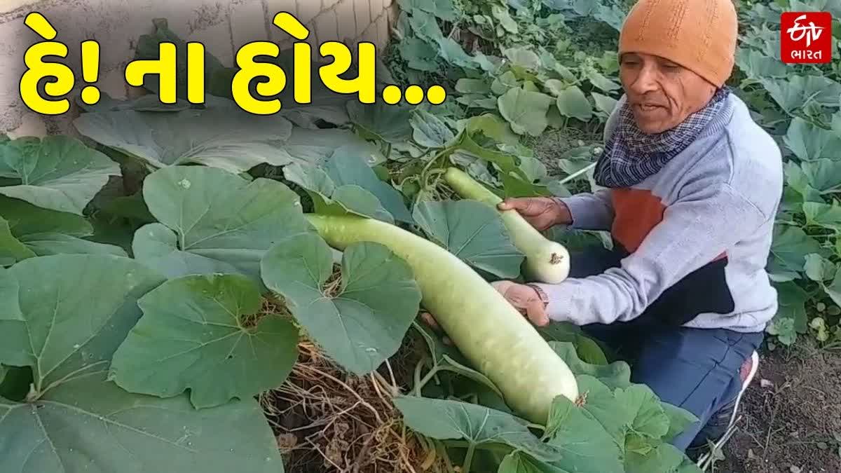 કેશોદના ખેડૂત ભરતભાઈ