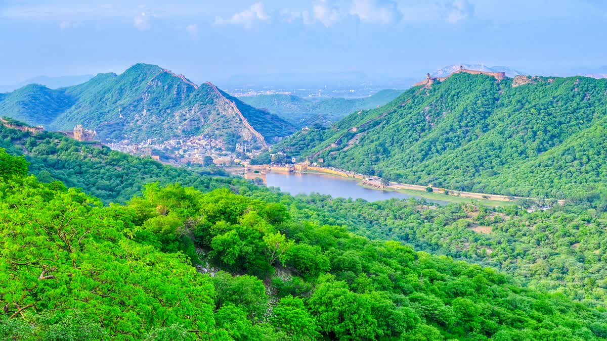 An aerial view of lush greenery covering Amber City and the Aravalli Range as seen from Jaigarh Fort after rainfall, in Jaipur