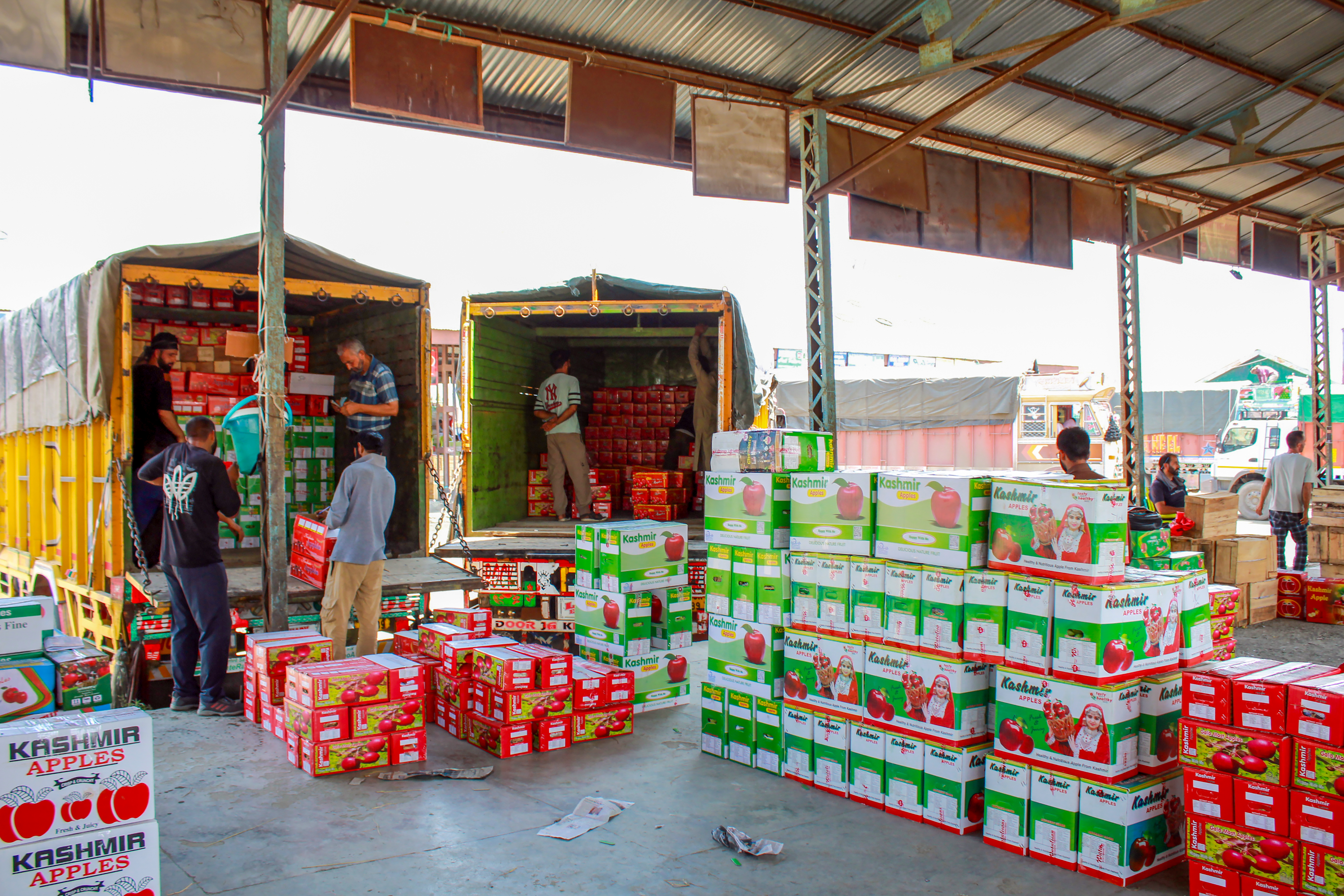 Trucks laden with apples at Asia’s second-largest fruit mandi in Sopore