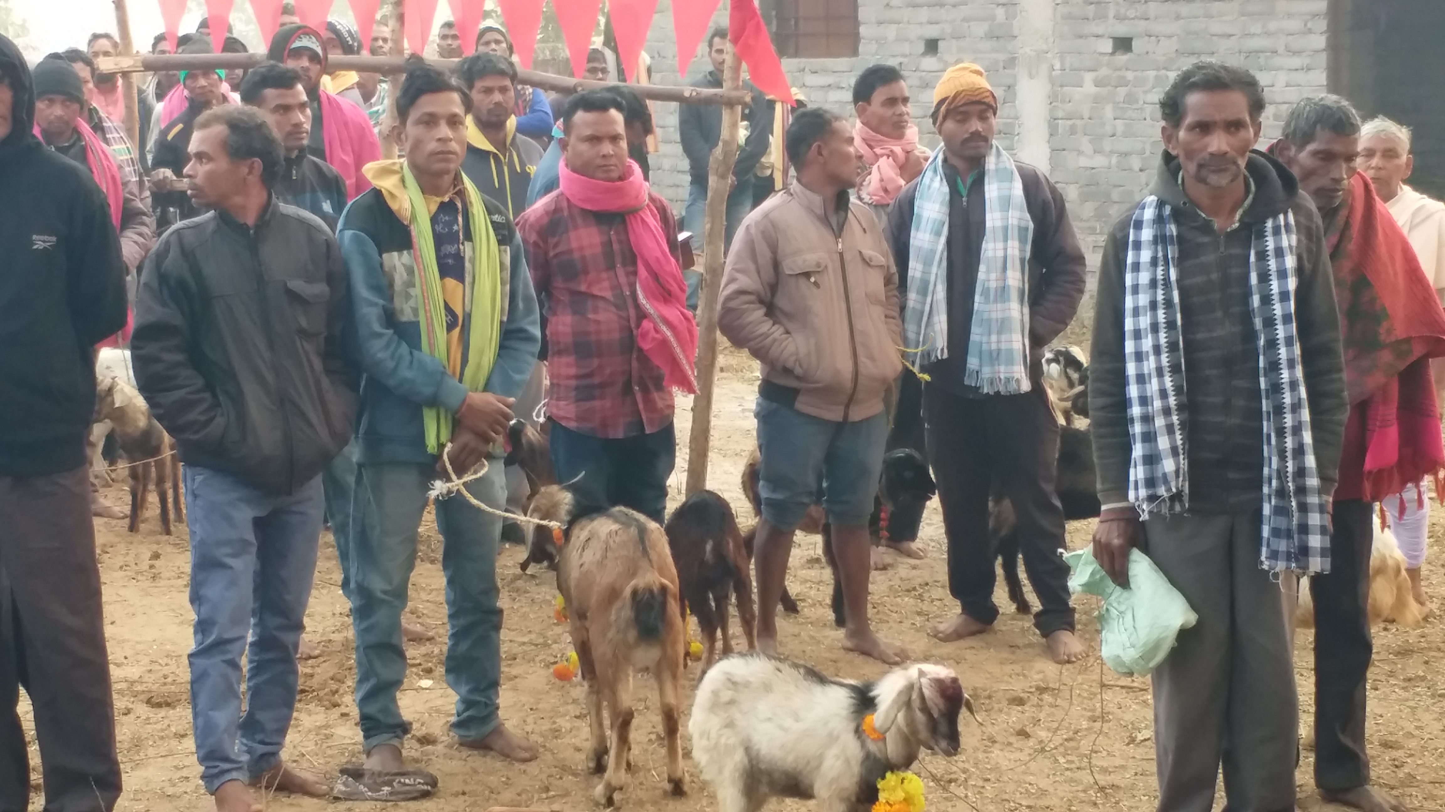 Sulia Peetha Balangir turned red by animal sacrifices
