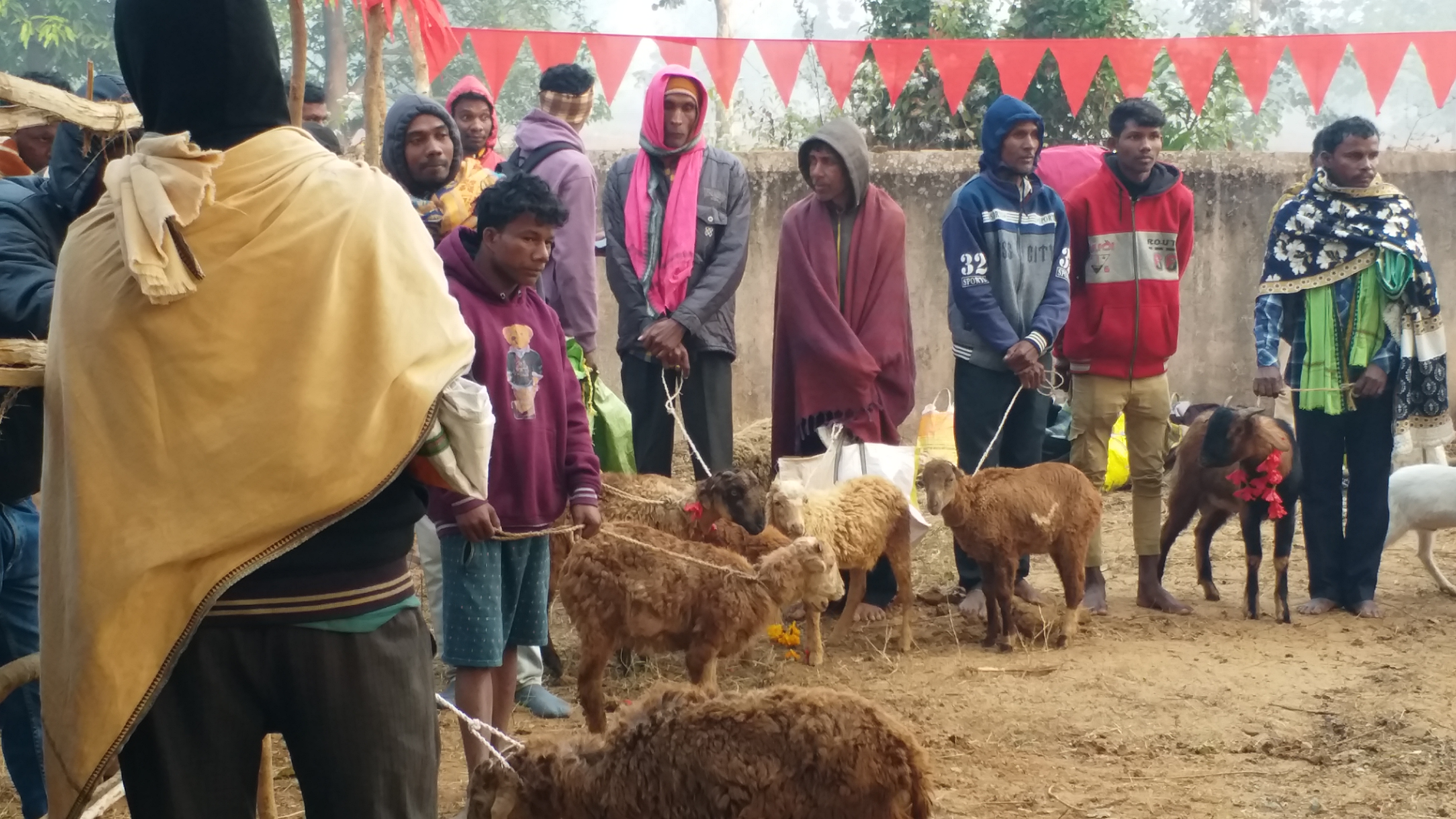 Animals waiting for sacrifice