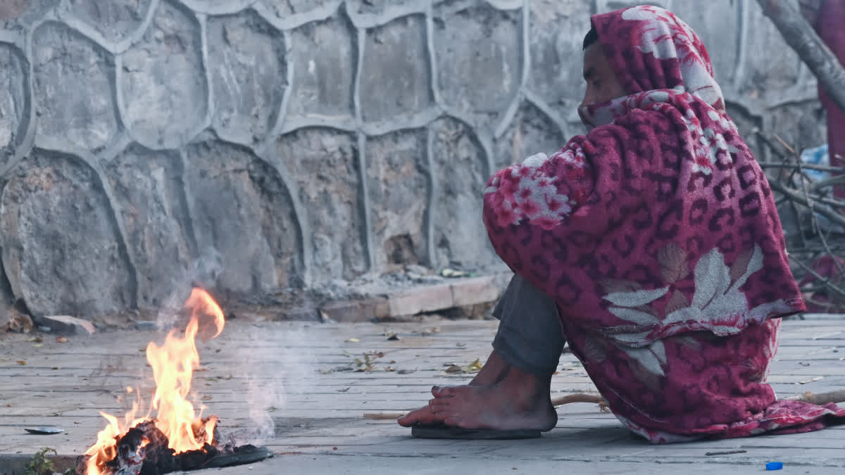 Delhi winter