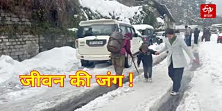 Himachal snowfall