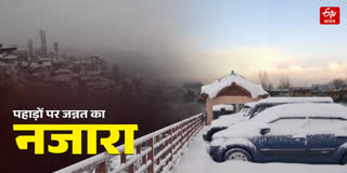 ताजा बर्फबारी से पहाड़ों पर जन्नत का नजारा