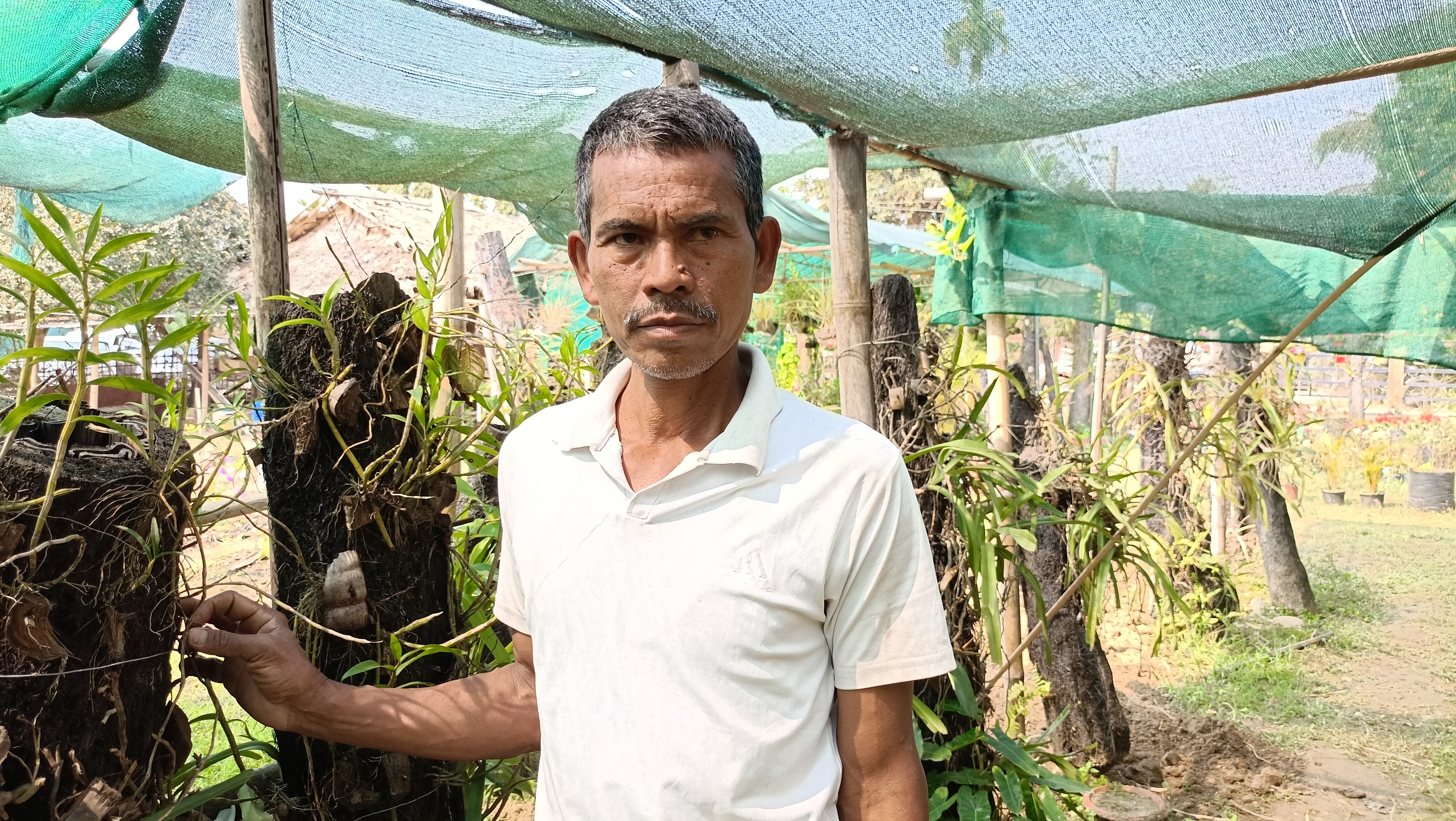 Selfreliant With Nursery