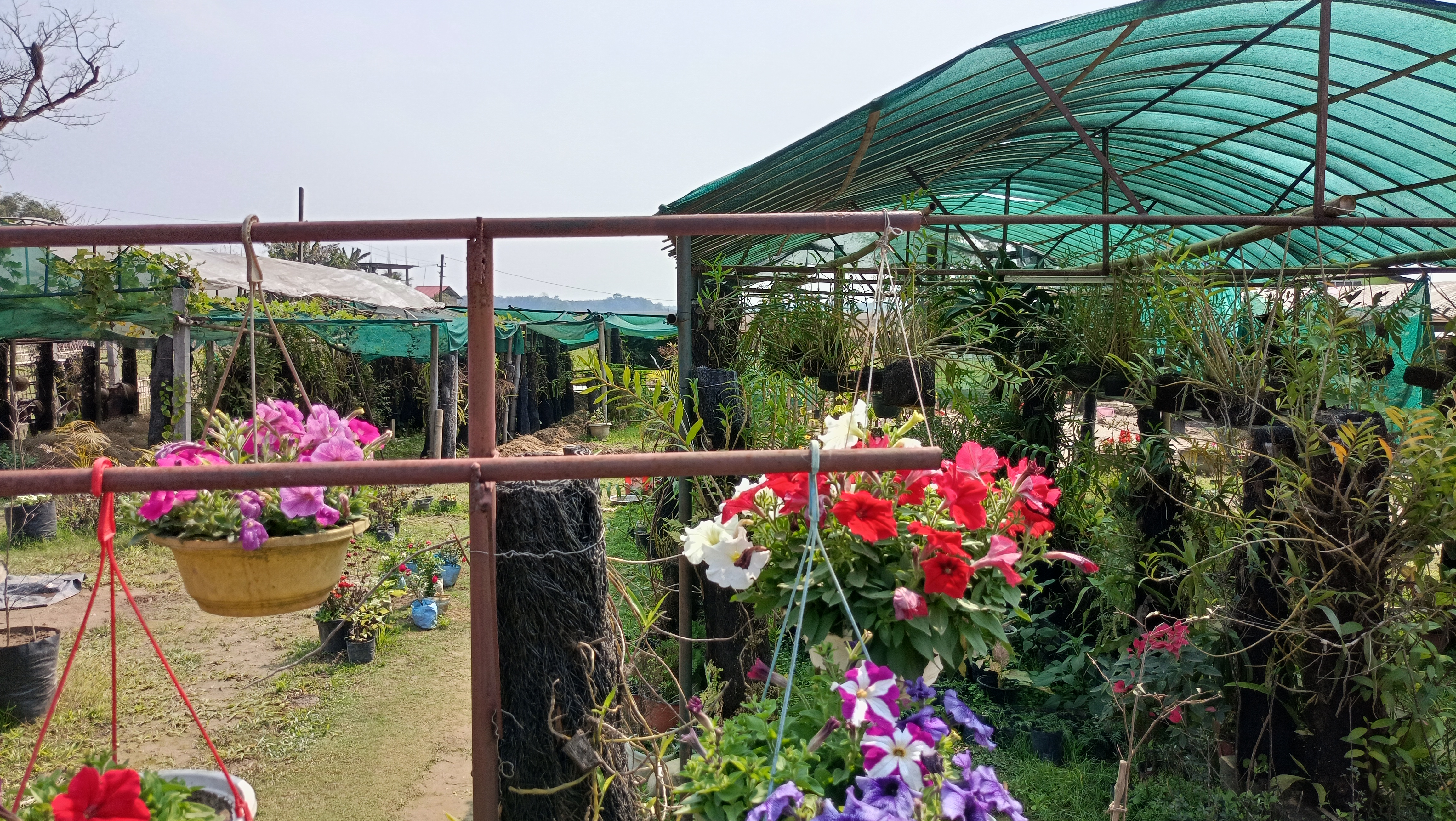 Selfreliant With Nursery