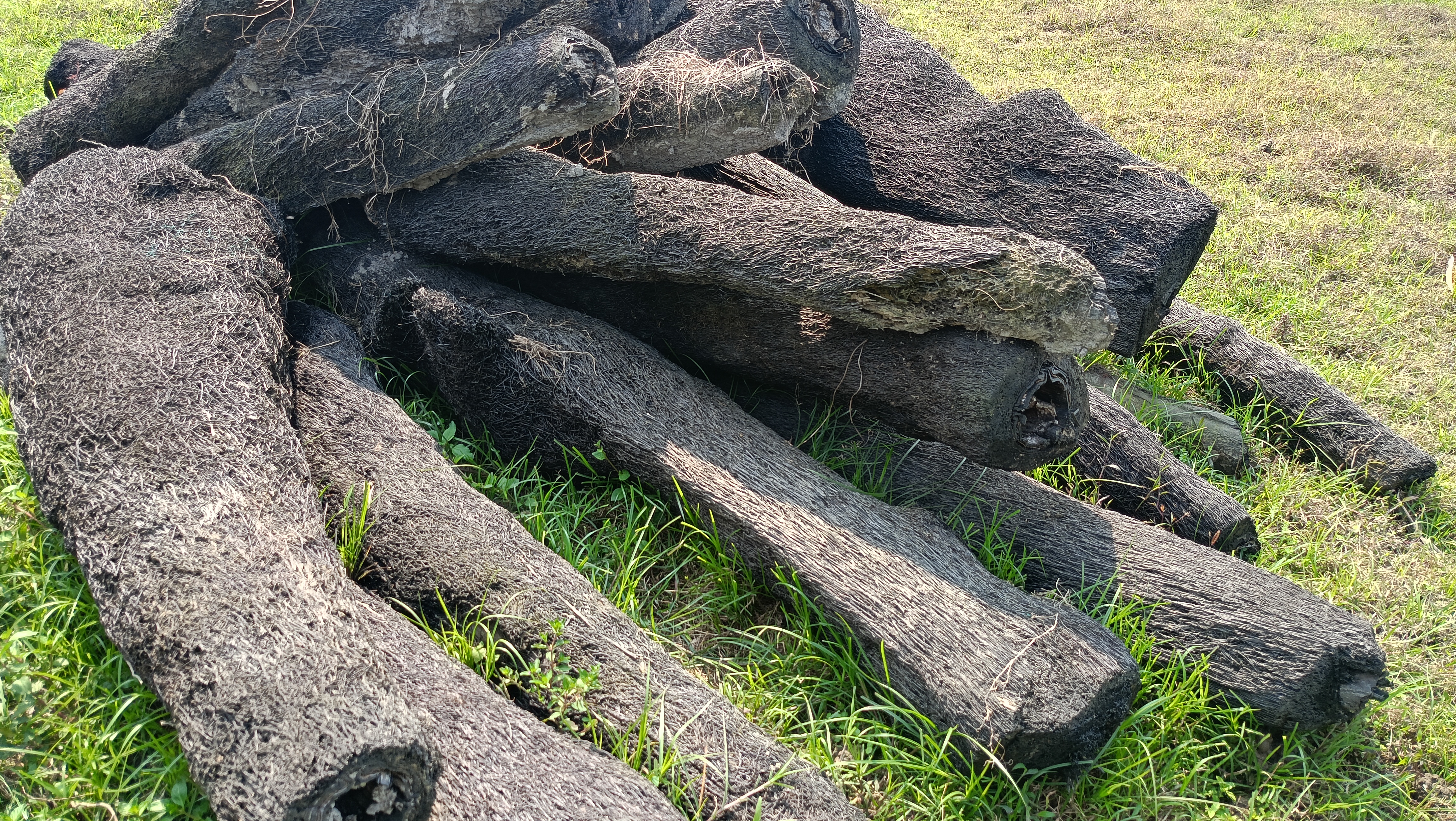 Selfreliant With Nursery