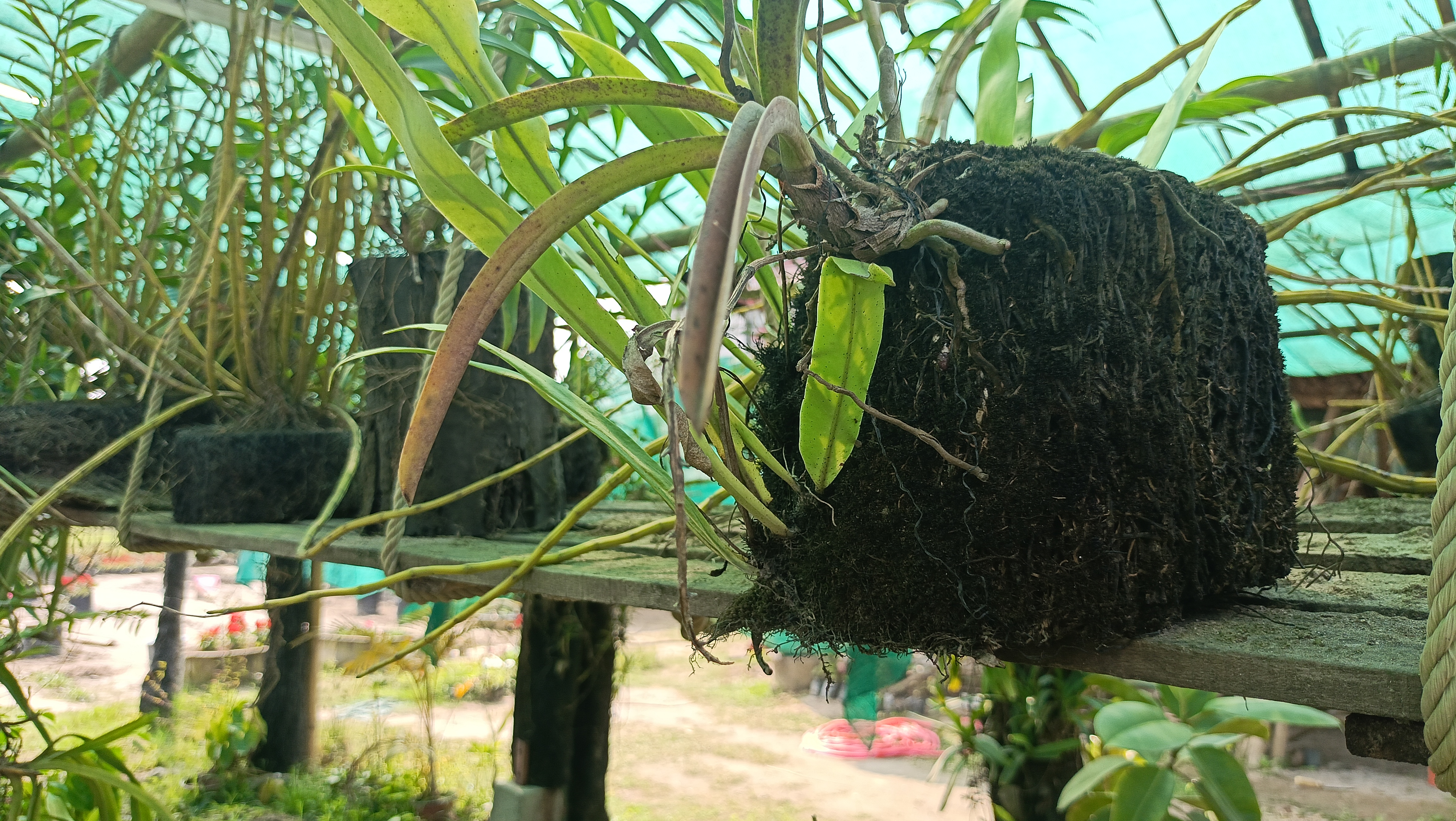 Selfreliant With Nursery