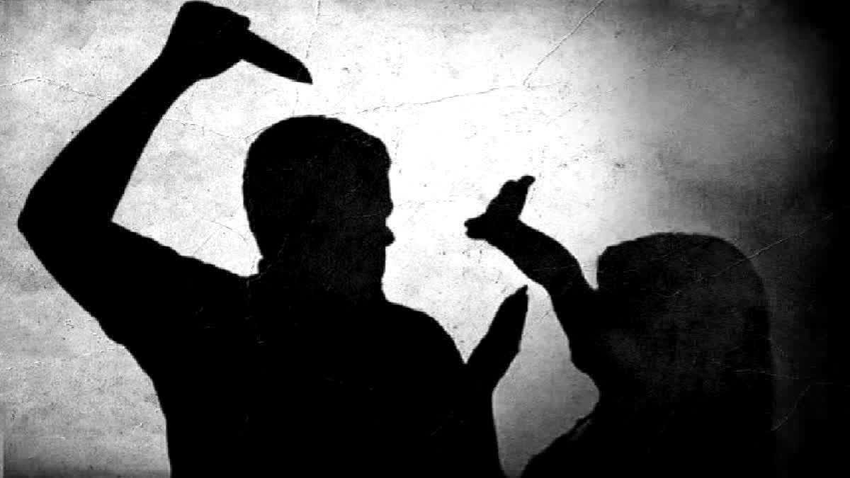 பிரதிநிதித்துவ படம்