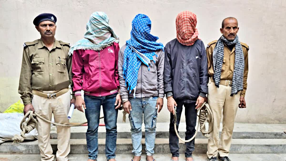 Bettiah cyber criminals arrested