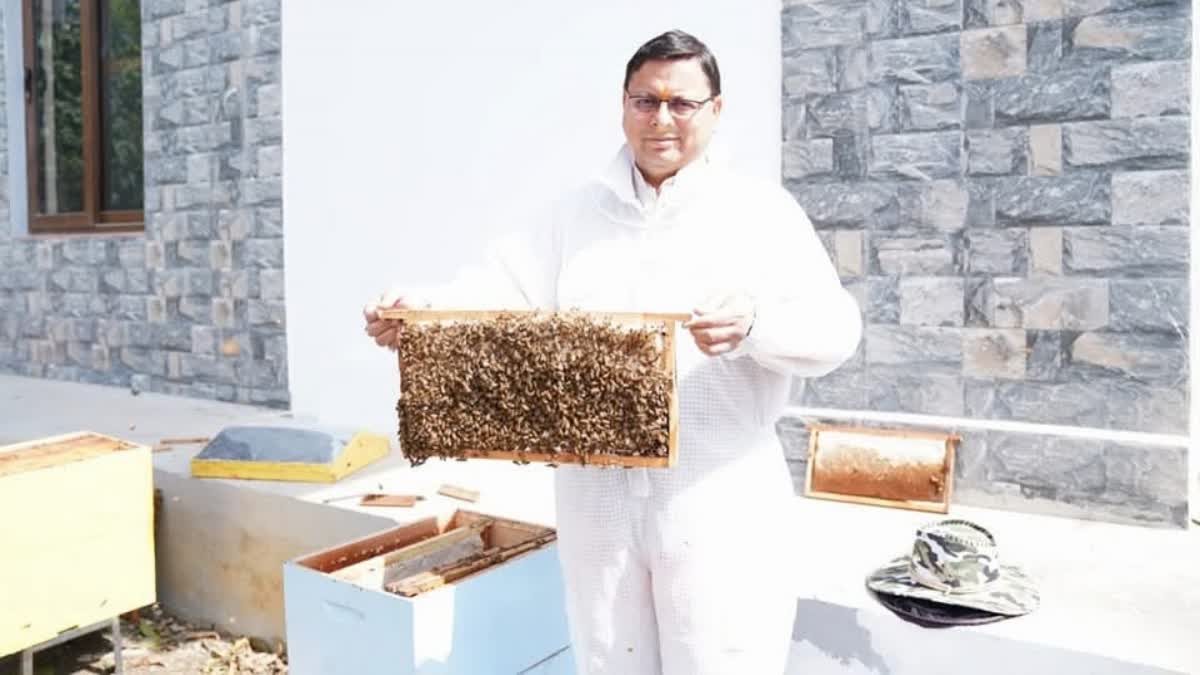 UTTARAKHAND HONEY MISSION
