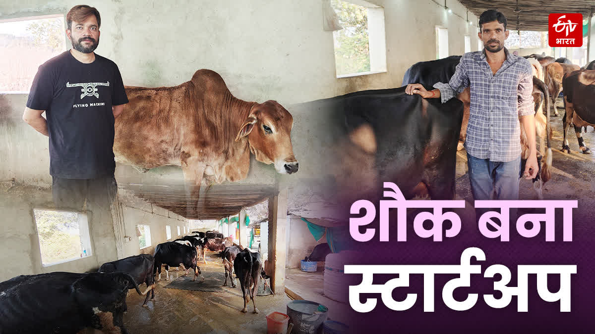 SHAHDOL DAIRY FARM STARTUP