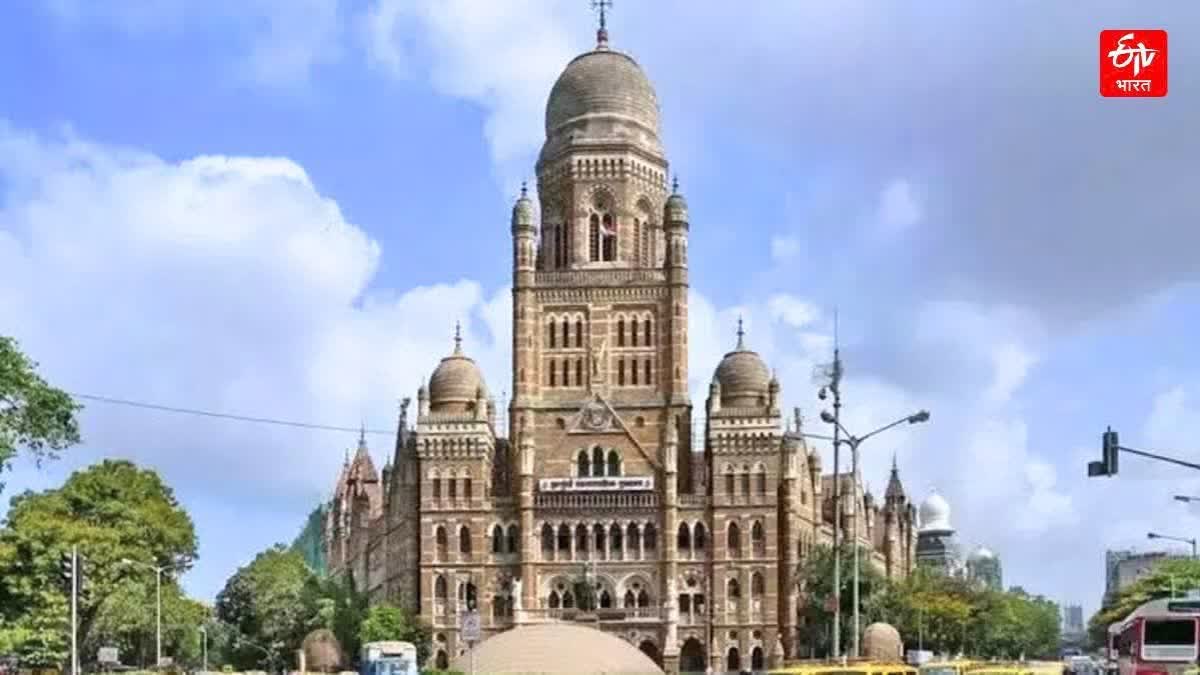 Nominated Corporators in Mumbai Municipal Corporation