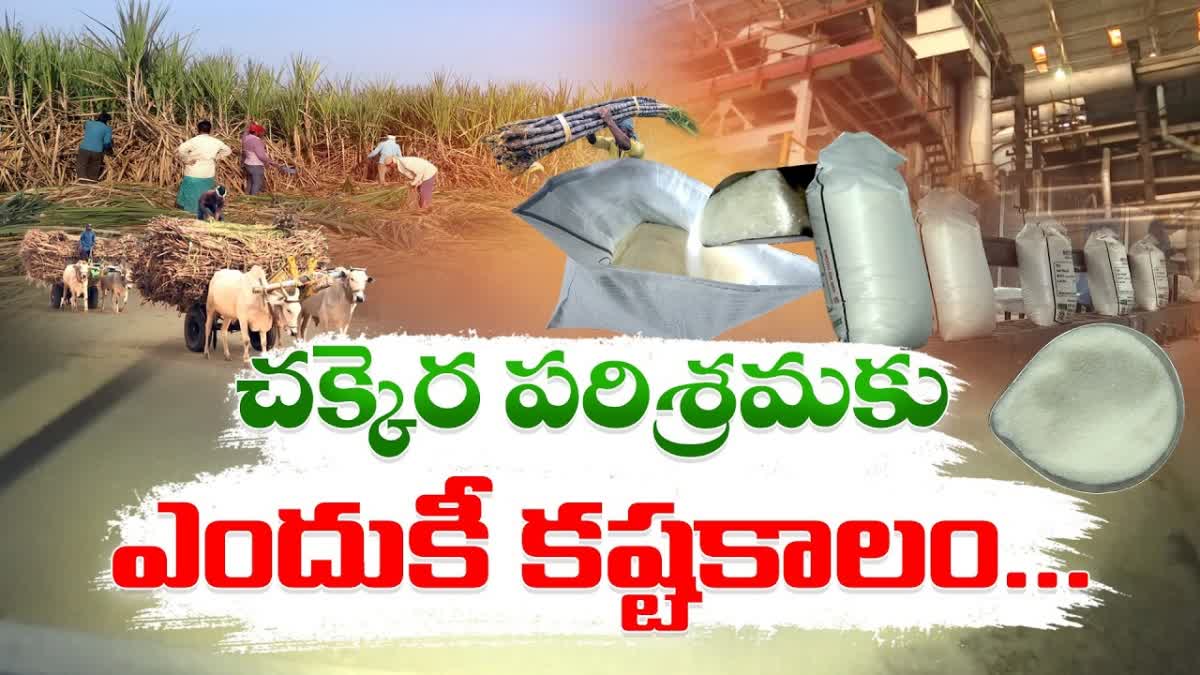 Idi Sangathi story on Sugarcane Cultivation