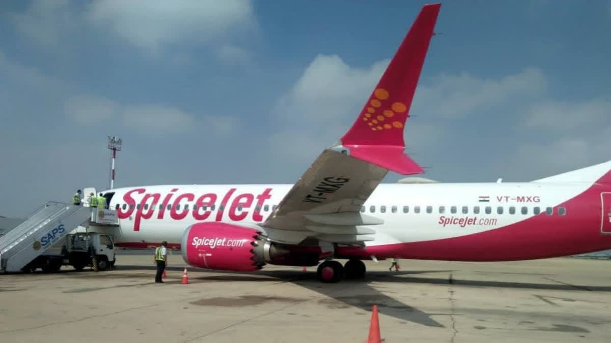 Leh-Bound SpiceJet Plane Faces Engine Issue; Returns To Delhi