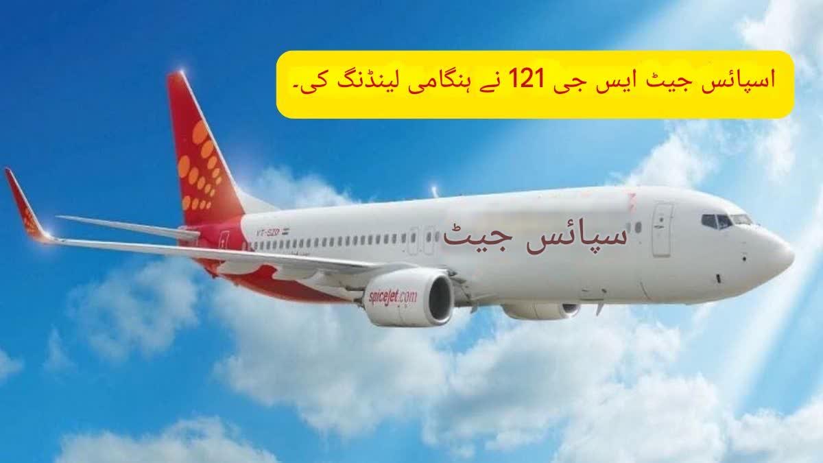 spicejet 121 delhi leh experienced a problem shortly after departure from delhi Urdu News
