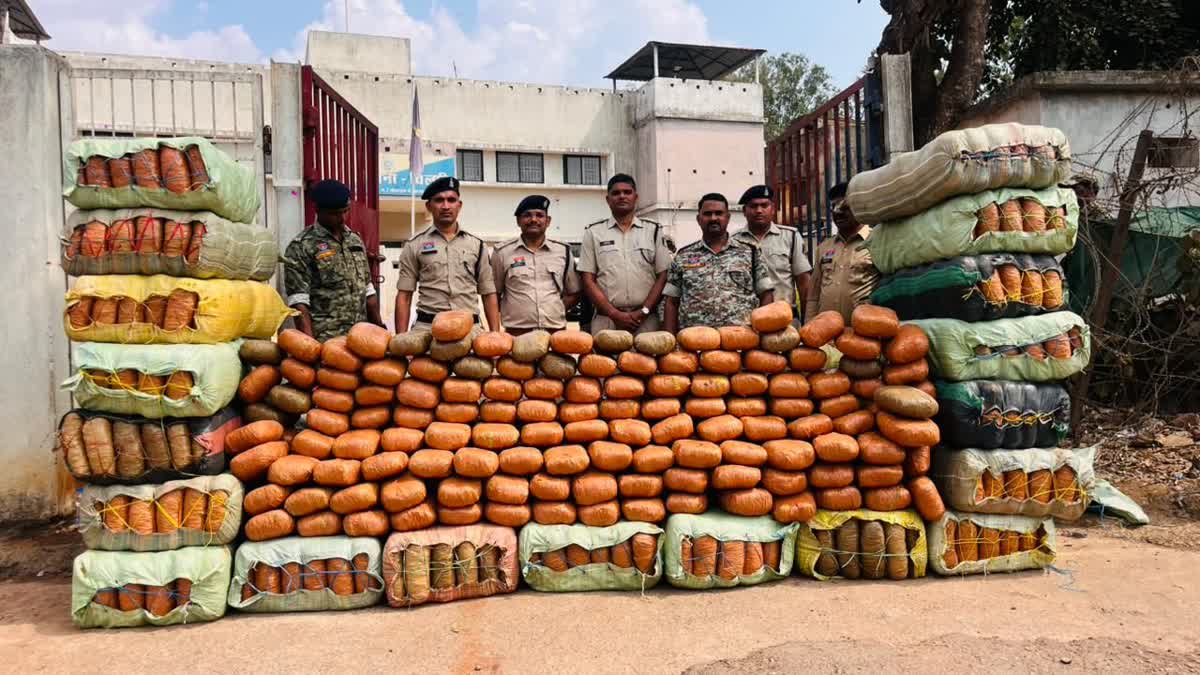 Ganja worth 5 crore seized