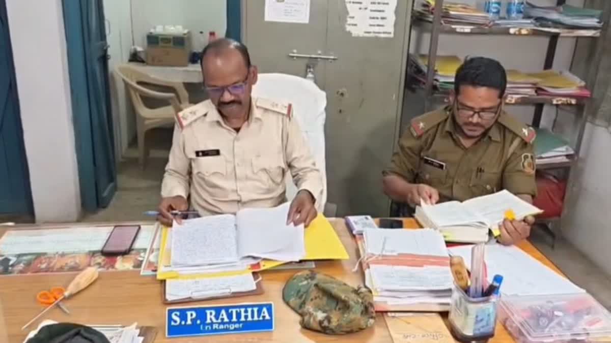 NATIONALISED TIMBER SMUGGLING GANG