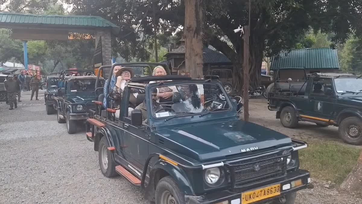 CORBETT PARK HOLI PREPARATIONS