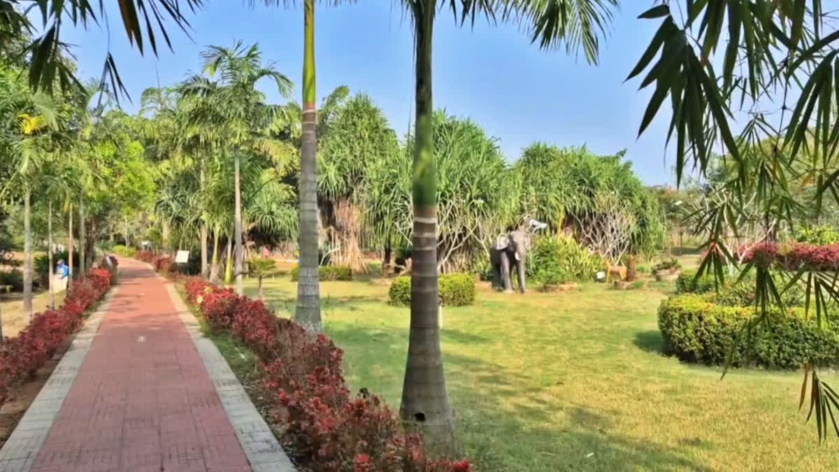 வன மரபியல் வள மரப் பூங்கா