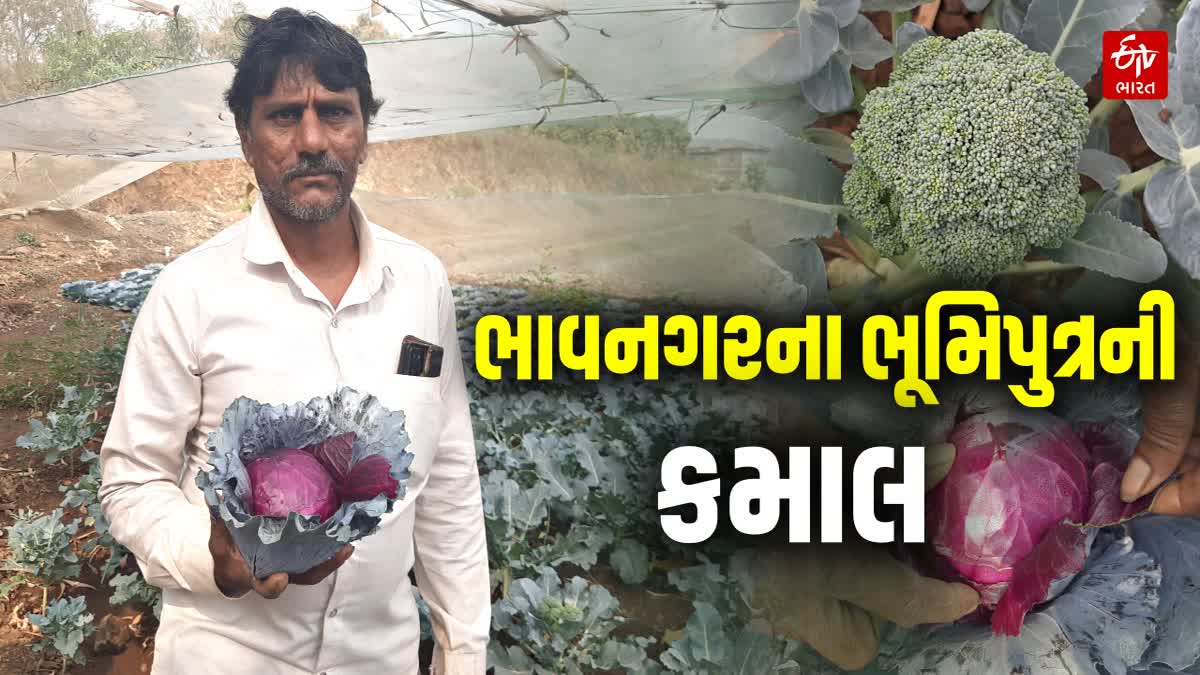 અંધારીયાવાડના ખેડૂત શાંતિભાઈ વેગડ
