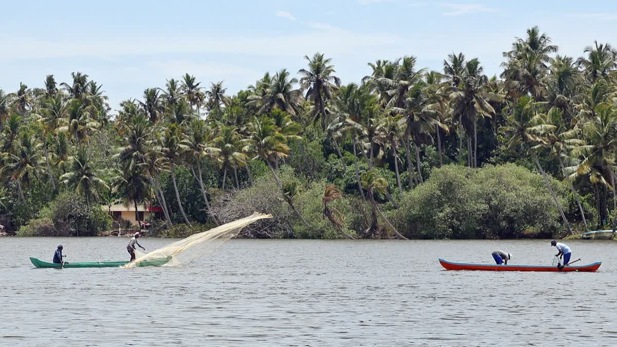 fishing in the Anchuthengu backwaters, in Thiruvananthapuram