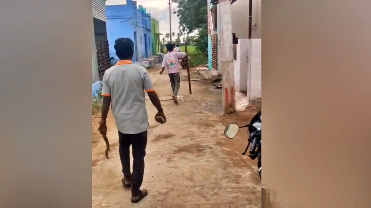 கையில் கம்புடன் நாயை தேடி அலையும் மக்கள்