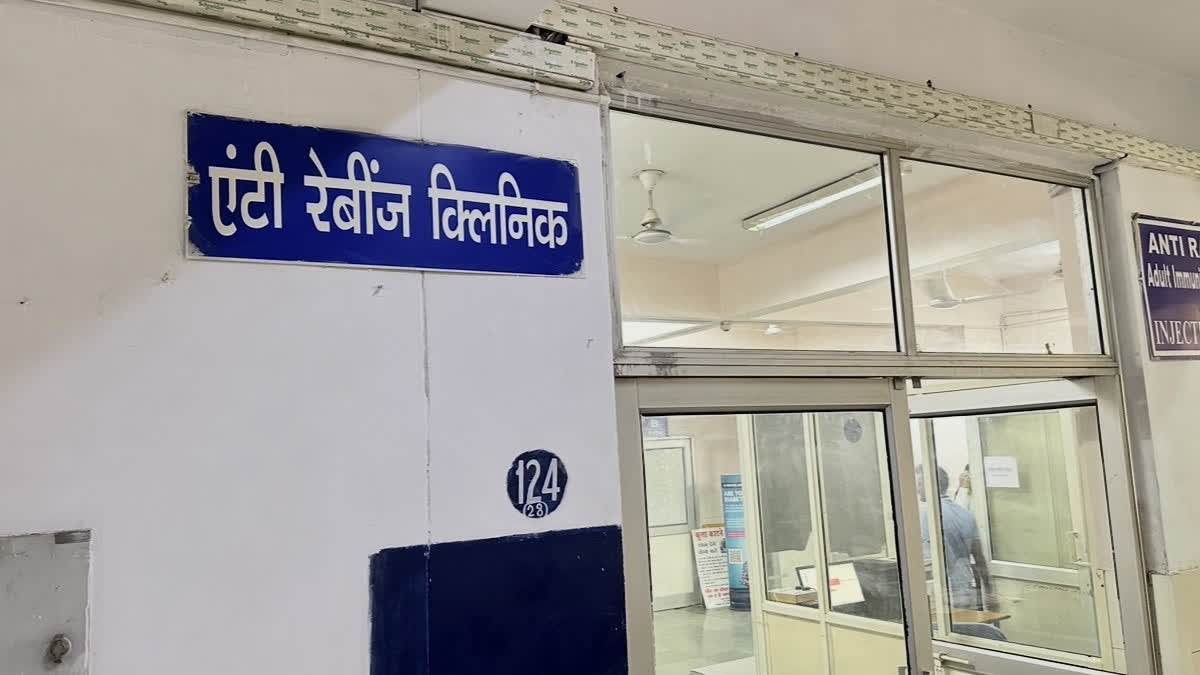 MENACE OF STREET DOGS IN  JAIPUR