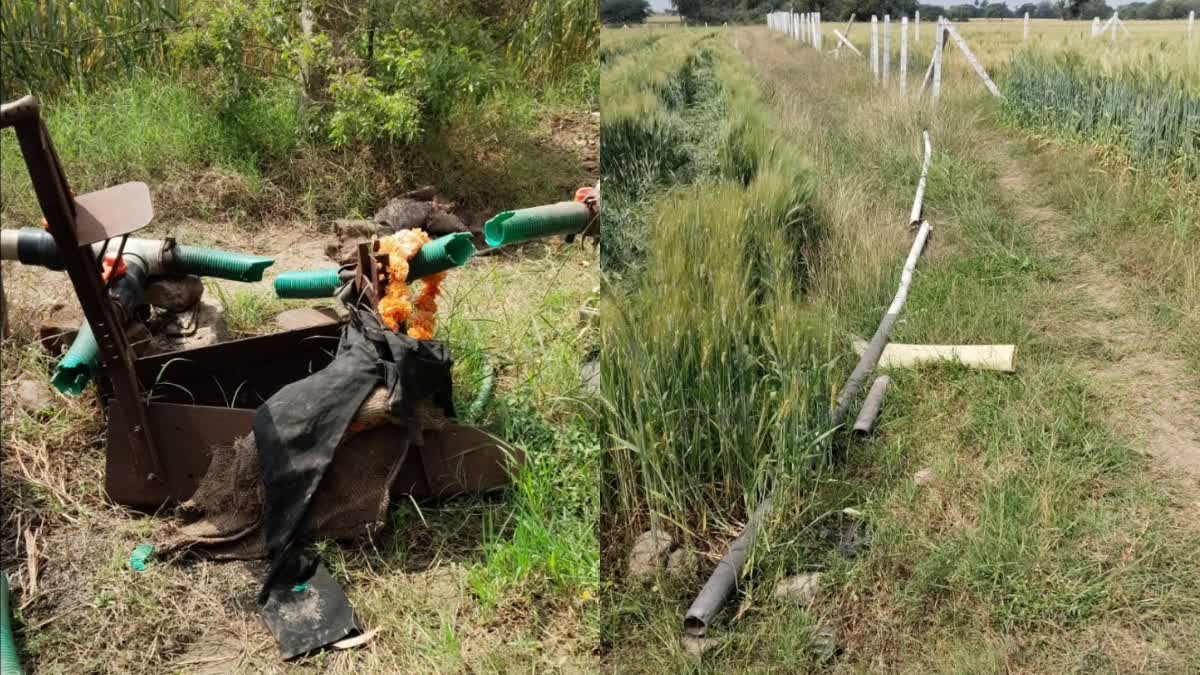 DEWAS MAN CUTS PIPELINE FIELD