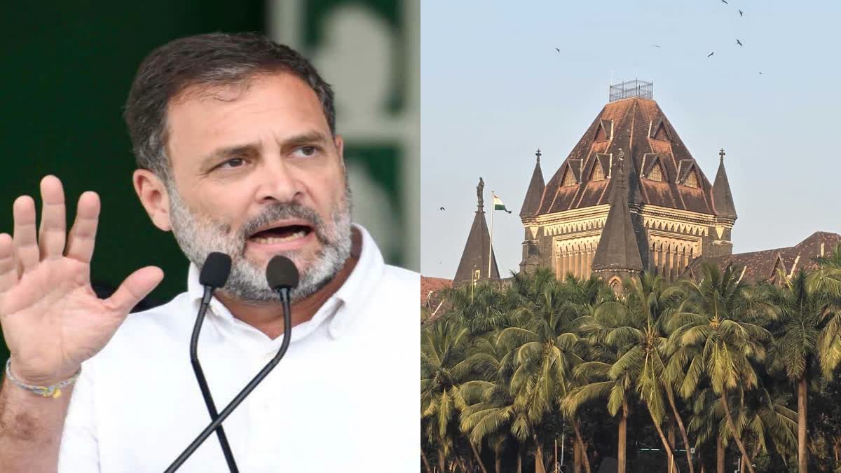 Bombay high court news