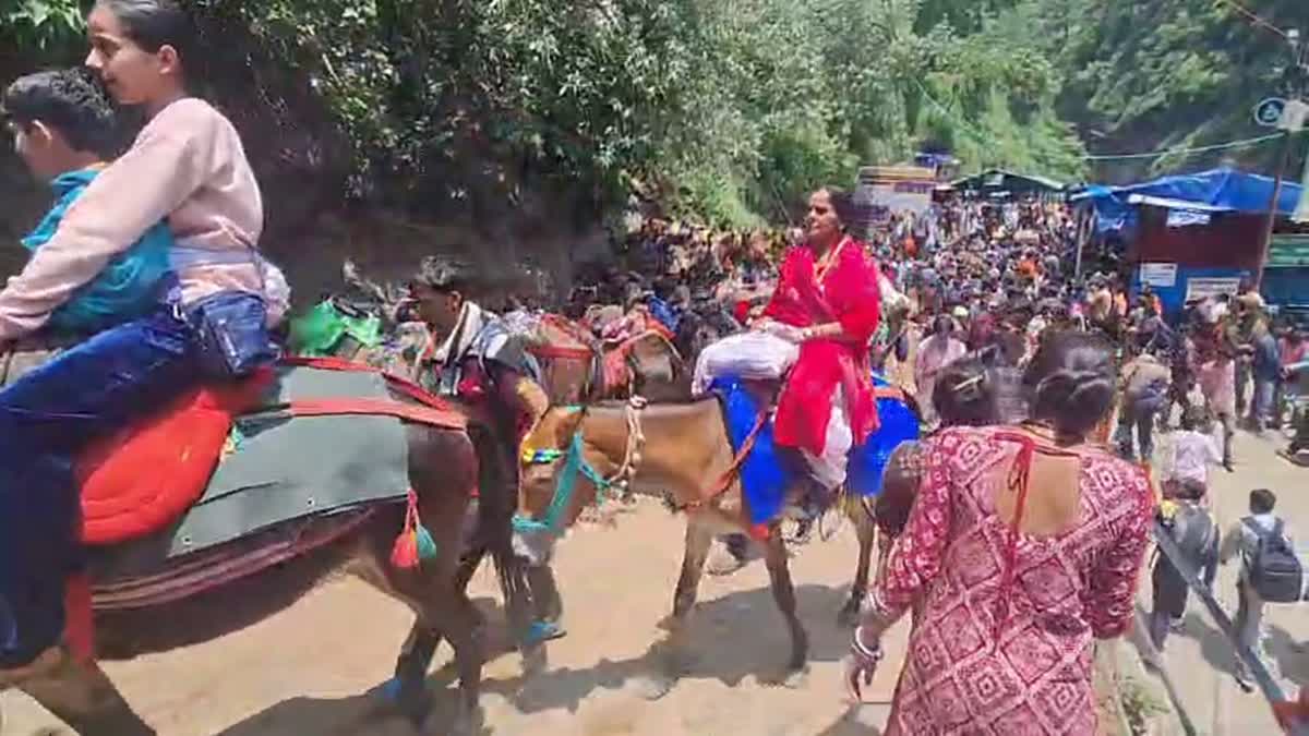 KEDARNATH YATRA 2026