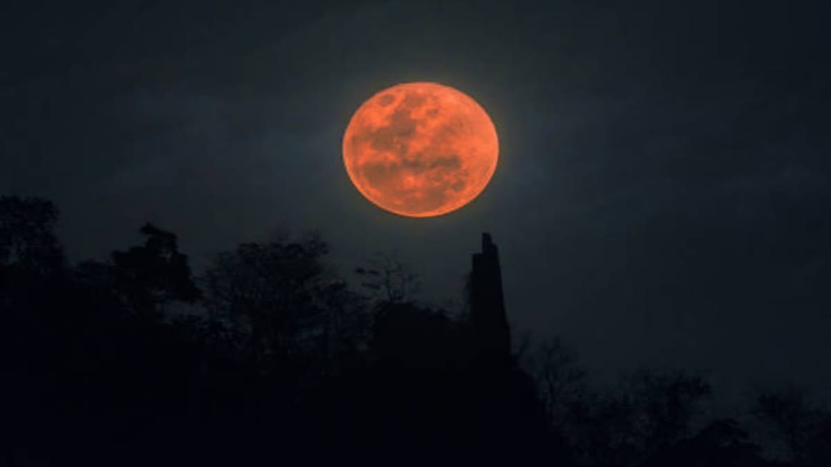 blood-moon-will-be-visible-on-march-3-marking-first-lunar-eclipse-of-the-year