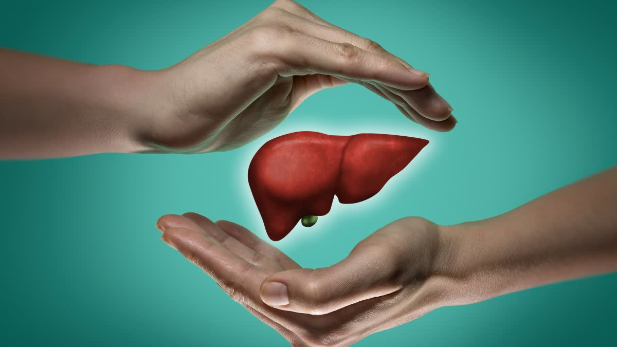 FOOD HELP LIVER FUNCTION  DIET AND LIVER DISEASE  SUPER FOODS FOR THE LIVER  ಯಕೃತ್ತಿನ ಆರೋಗ್ಯಕ್ಕೆ ಉತ್ತಮ ಆಹಾರಗಳು
