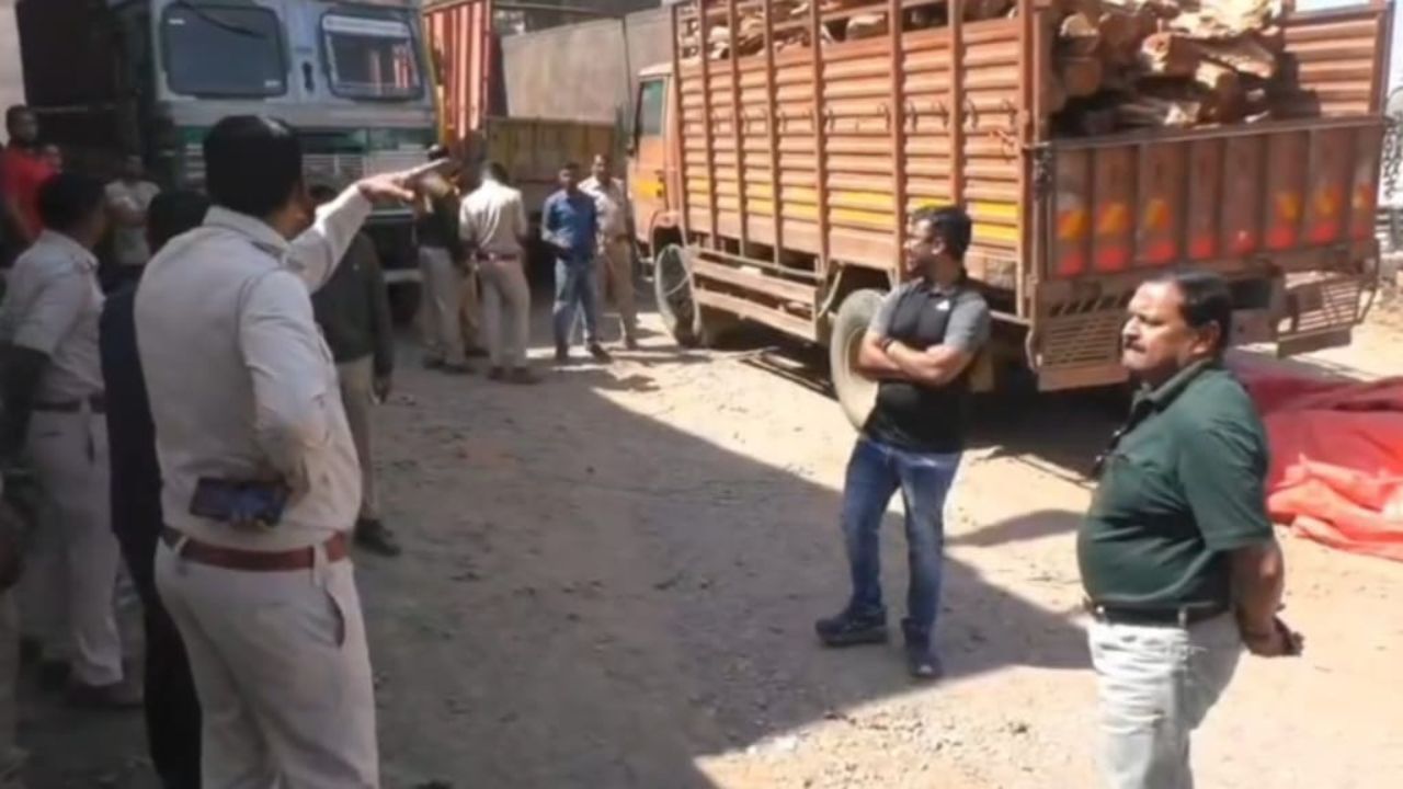 NATIONALISED TIMBER SMUGGLING GANG