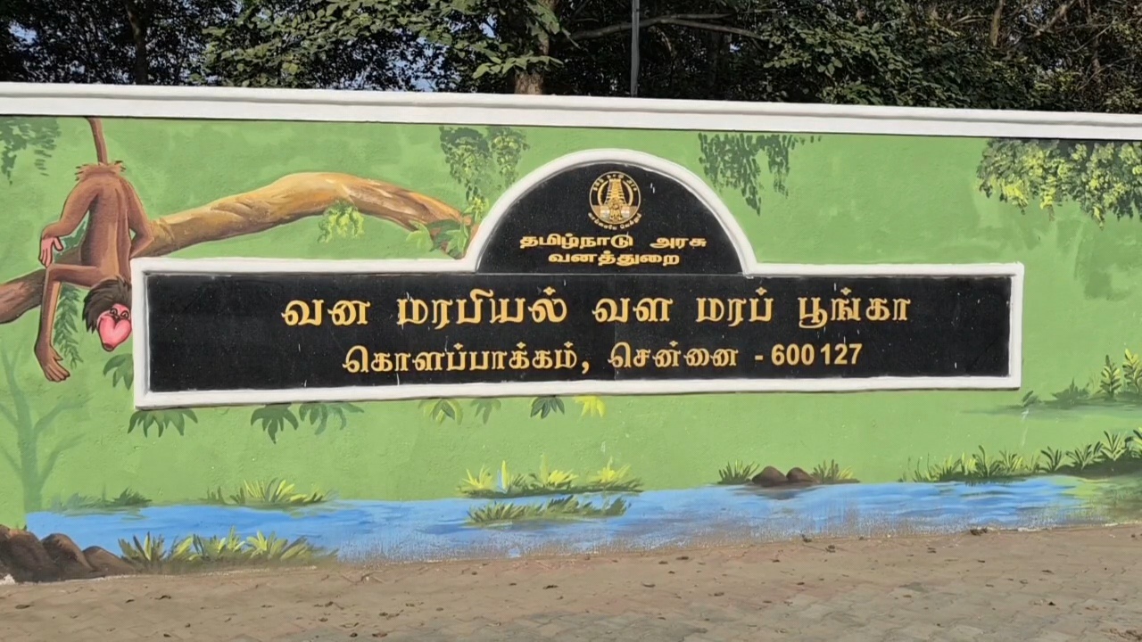வன மரபியல் வள மரப் பூங்கா