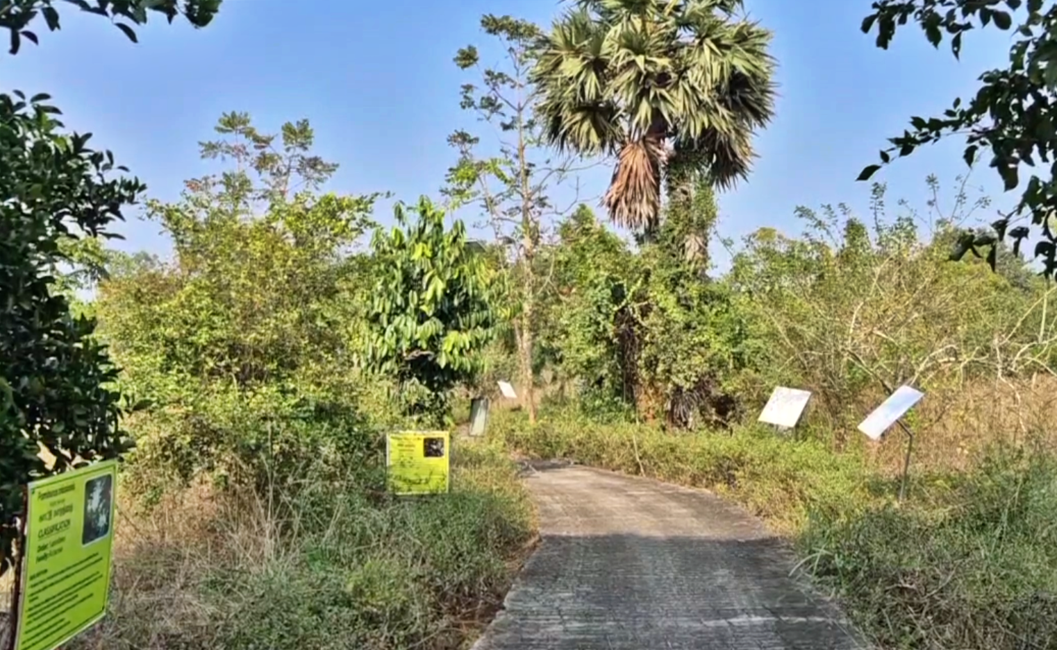 தாவரத்தின் பெயரை அறிந்து கொள்ள வைக்கப்பட்டுள்ள தாவரப்பெயர் மற்றும் அறிவியல் பெயர் அடங்கிய பதாகைகள்