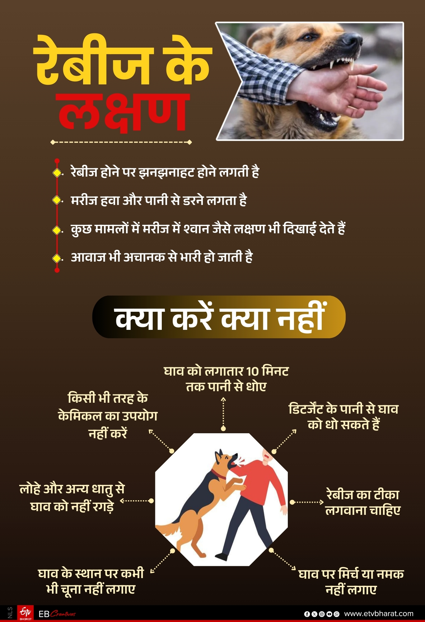 MENACE OF STREET DOGS IN  JAIPUR
