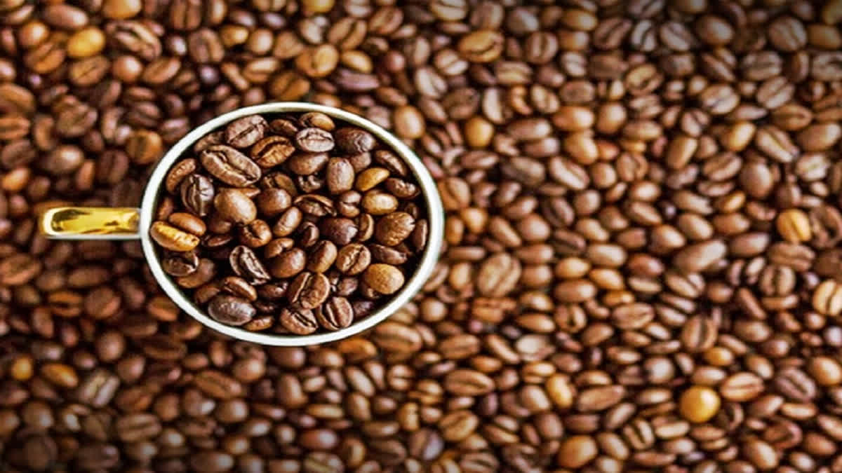 LIVER CANCER  COFFEE HEALTH BENEFITS  COFFEE AND LIVER CANCER  ಲಿವರ್ ಕ್ಯಾನ್ಸರ್