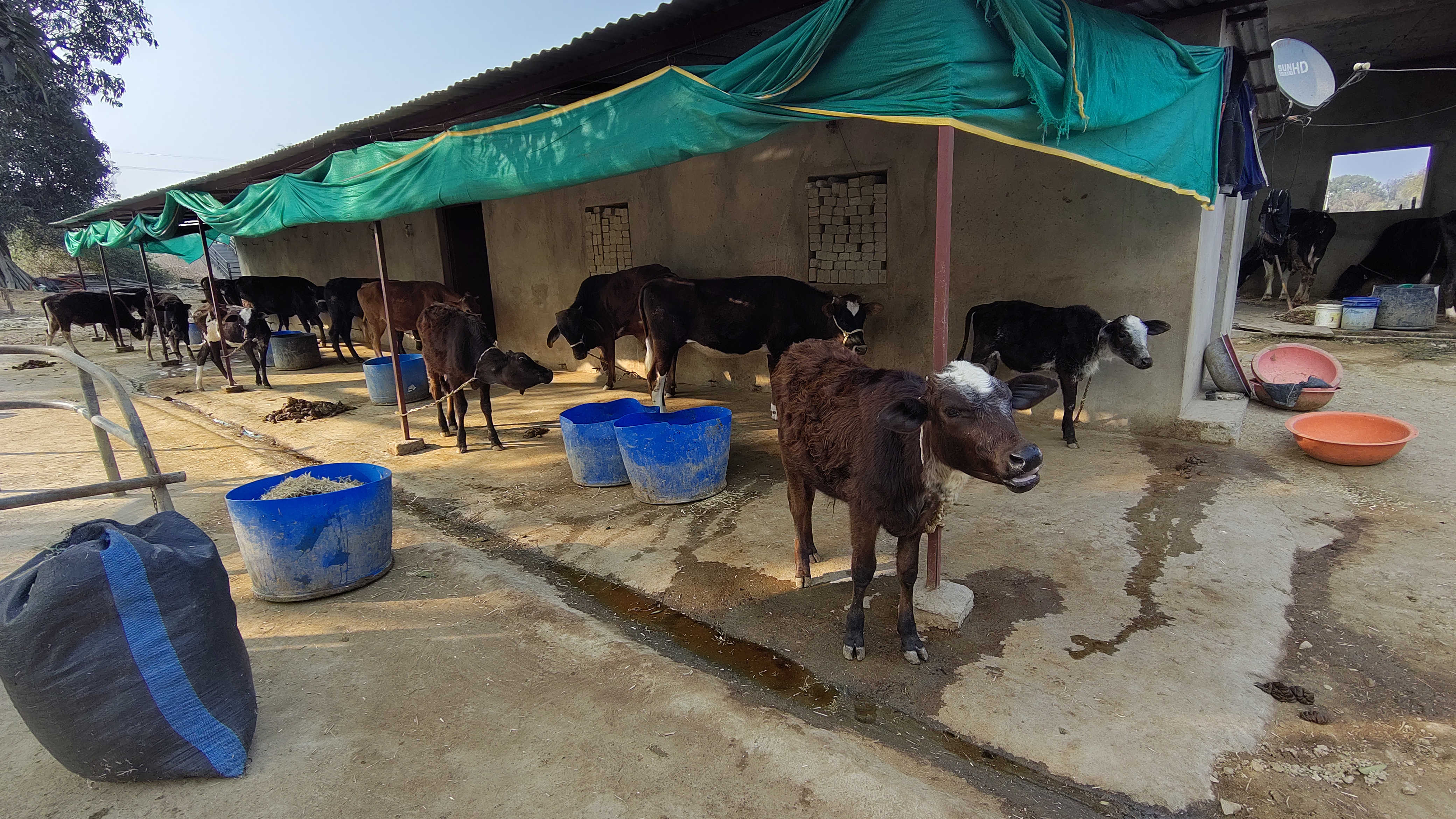 SHAHDOL STARTUP FOR PURITY