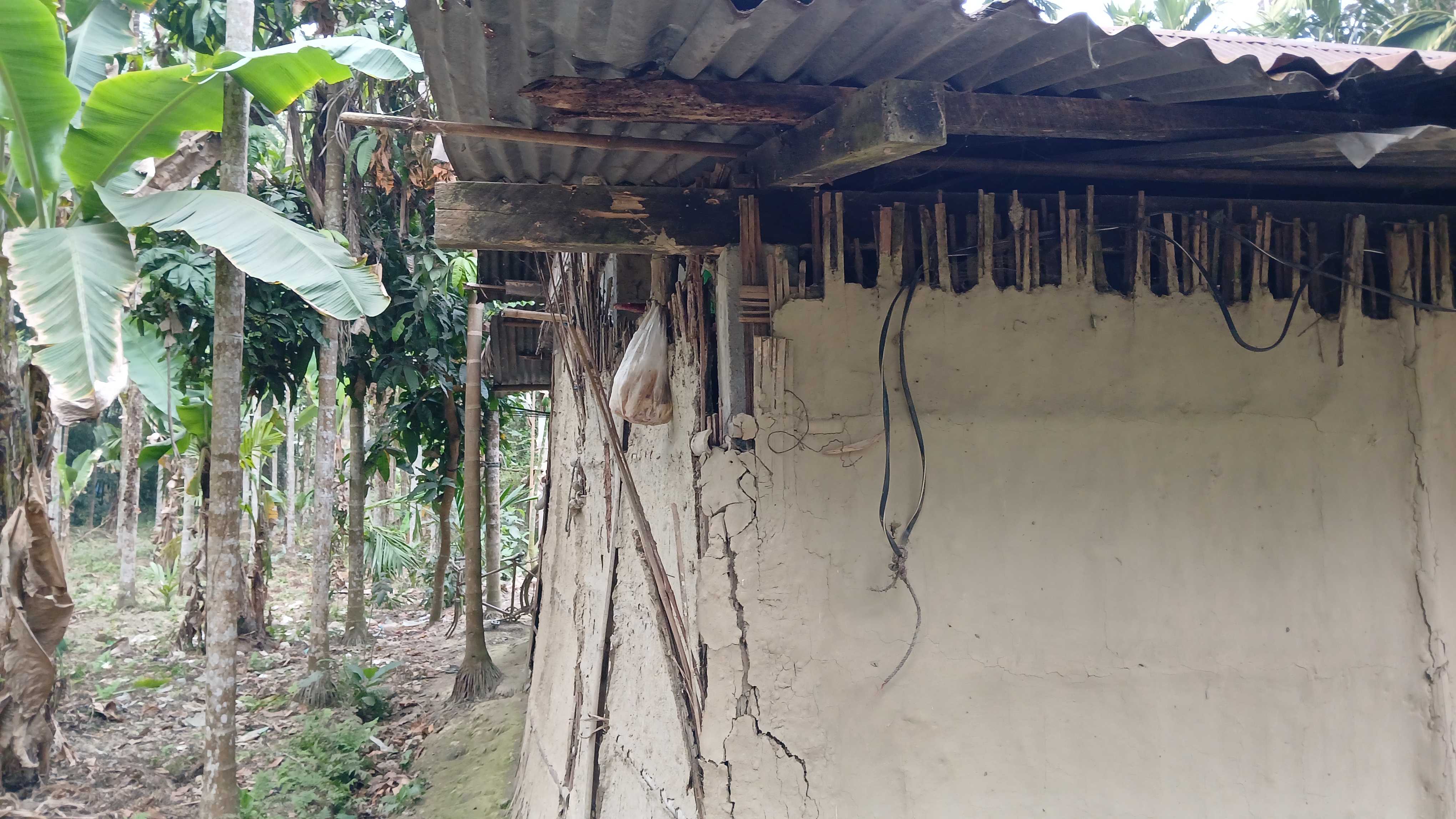 Families with congenital disabilities have not received the benefits of government schemesFamilies with congenital disabilities have not received the benefits of government schemes