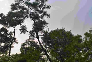 temperature day will increase due to sunshine