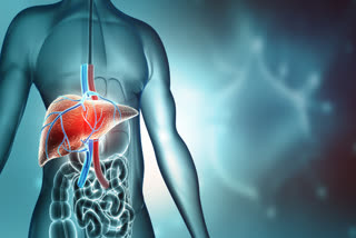 EARLY SIGNS OF FATTY LIVER  LIVER PROBLEMS SYMPTOMS AND CAUSES  FATTY LIVER DISEASE  ARLY SYMPTOMS OF NAFLD
