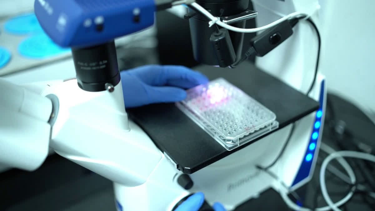 IIT Jodhpur Scientists Develop Nanotechnology For Early Cancer Detection And Treatment