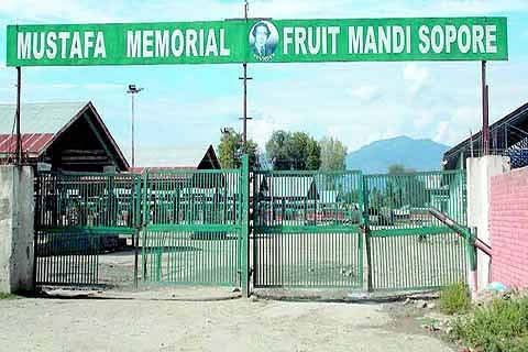 After Years Of Delay, Kashmir Apples And Other Cash Crops To Get Insurance Soon