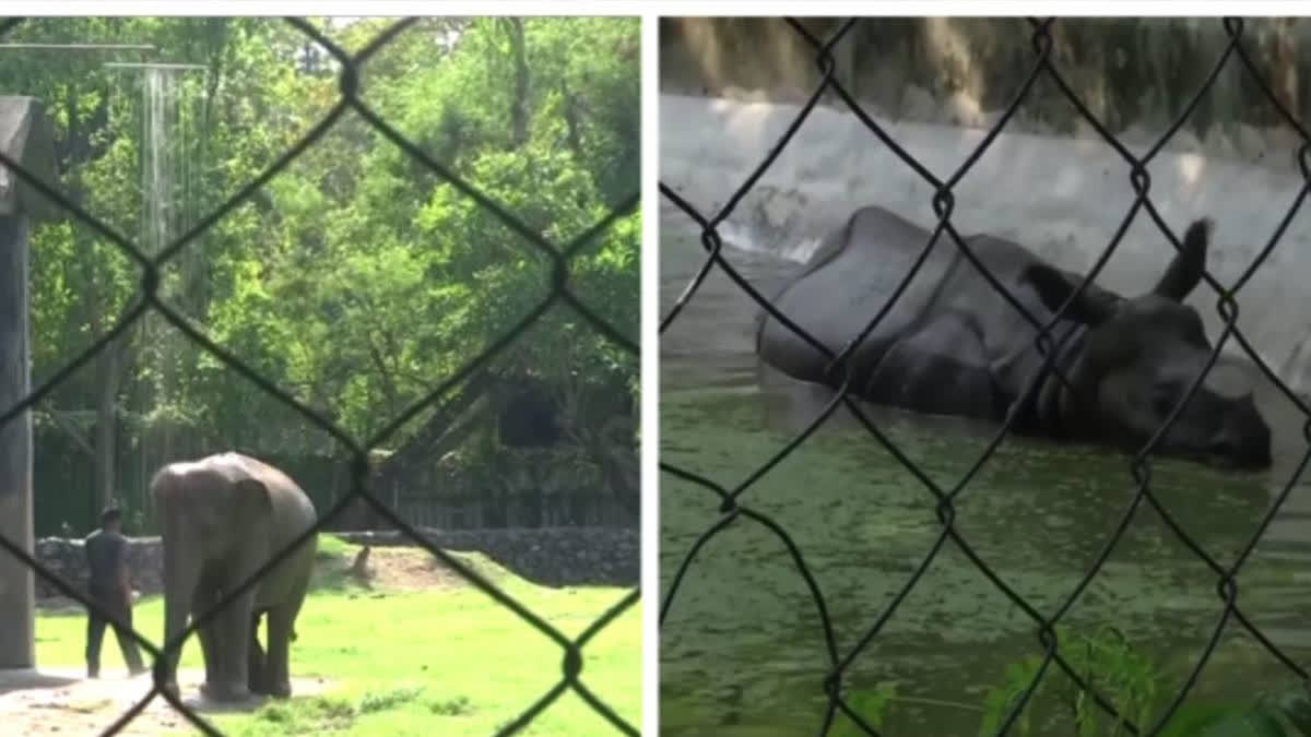 Alipore Zoological Park Adopts Seasonal Modifications to Ensure Animal Comfort Year-Round